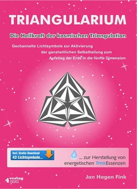 Jan Hagen Fink Triangularium обложка книги