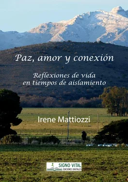 Irene Mattiozzi Paz amor y conexión обложка книги