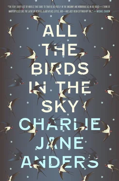 Charlie Anders All the Birds in the Sky обложка книги