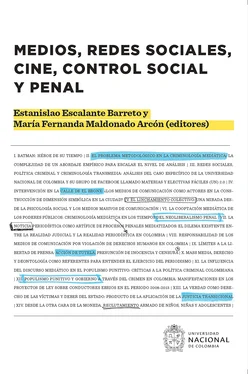 Carlos Ariel Bautista González Medios, redes sociales, cine, control social y penal обложка книги