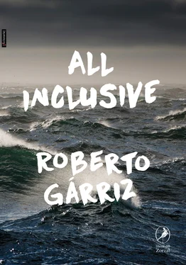 Roberto Gárriz All inclusive обложка книги