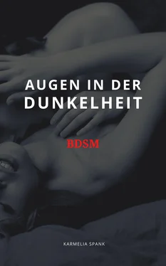 Karmelia Spank Augen in der Dunkelheit BDSM обложка книги