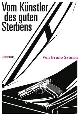 Bruno Szturm Vom Künstler des guten Sterbens обложка книги