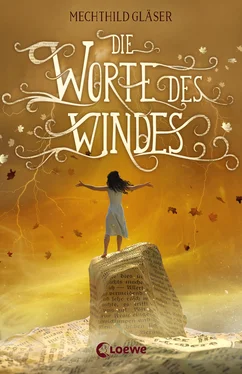 Mechthild Glaser Die Worte des Windes обложка книги
