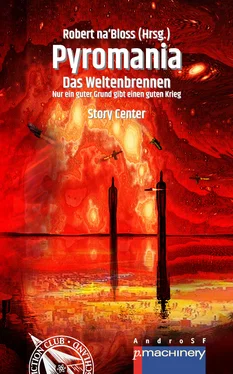 Victor Boden PYROMANIA. DAS WELTENBRENNEN обложка книги