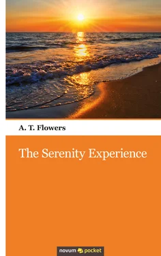 A. T. Flowers The Serenity Experience обложка книги