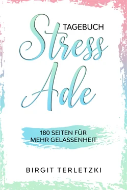 Birgit Terletzki Tagebuch Stress ade обложка книги