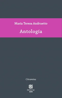 María Teresa Andruetto Antología de María Teresa Andruetto обложка книги