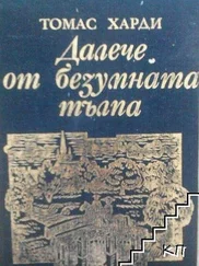 Томас Харди - Далече от безумната тълпа