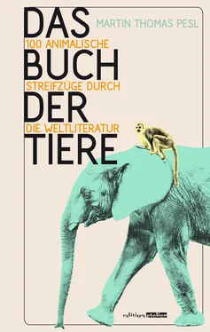 Martin Thomas Pesl Das Buch der Tiere обложка книги