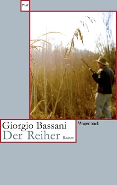 Giorgio Bassani Der Reiher обложка книги