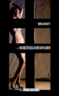 Nina Schott Schlüssellochfantasien обложка книги