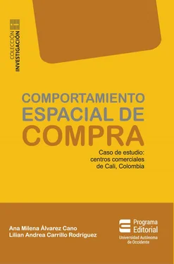 Lilian Andrea Carrillo Rodríguez Comportamiento espacial de compra обложка книги
