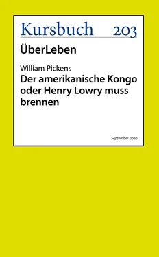 William Pickens Der amerikanische Kongo oder Henry Lowry muss brennen обложка книги