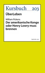 William Pickens - Der amerikanische Kongo oder Henry Lowry muss brennen