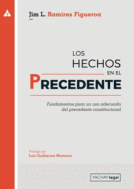 Jim Ramírez Figueroa Los hechos en el precedente обложка книги