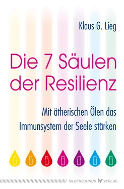 Klaus G. Lieg Die 7 Säulen der Resilienz обложка книги