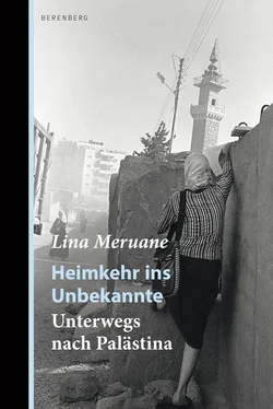 Lina Meruane Heimkehr ins Unbekannte обложка книги