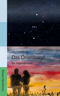 Ute Friederici Das Orionband обложка книги