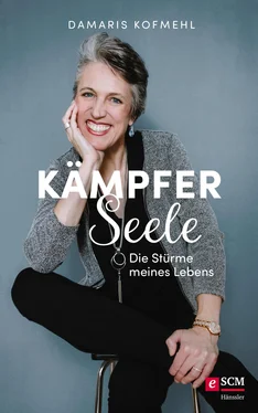 Damaris Kofmehl Kämpferseele обложка книги