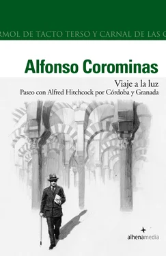 Alfonso Corominas Rivera Viaje a la Luz. Paseo con Hitchcock por Cordoba y Granada обложка книги