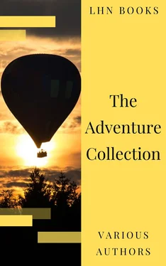 Howard Pyle The Adventure Collection: Treasure Island, The Jungle Book, Gulliver's Travels, White Fang... обложка книги