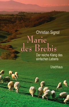 Christian Signol Marie des Brebis обложка книги