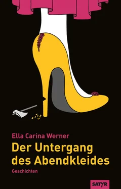 Ella Carina Werner Der Untergang des Abendkleides обложка книги