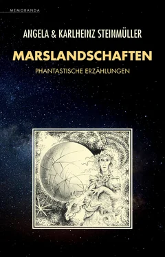 Angela Steinmüller Marslandschaften обложка книги