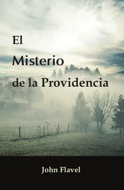 John Flavel El misterio de la Providencia обложка книги