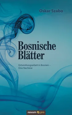 Oskar Szabo Bosnische Blätter обложка книги