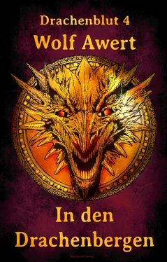 Wolf Awert In den Drachenbergen обложка книги