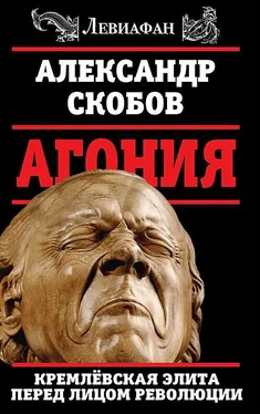Александр Скобов Агония обложка книги