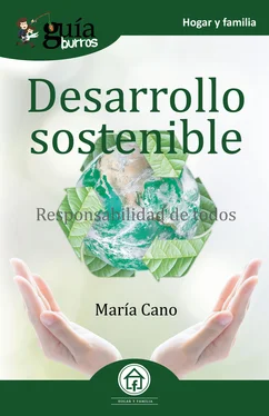 María Cano GuíaBurros Desarrollo sostenible обложка книги