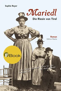 Sophie Reyer Mariedl обложка книги