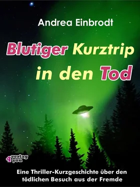 Andrea Einbrodt Blutiger Kurztrip in den Tod обложка книги