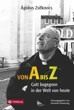 Ägidius Zsifkovics Von A bis Z обложка книги