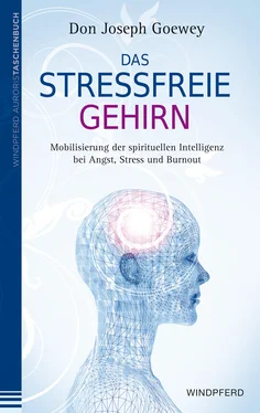 Don Joseph Goewey Das stressfreie Gehirn обложка книги