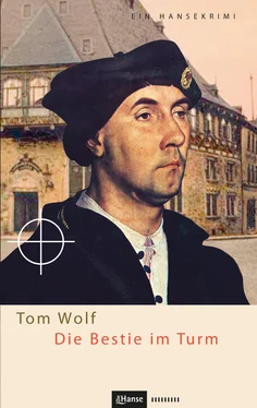 Tom Wolf Die Bestie im Turm обложка книги
