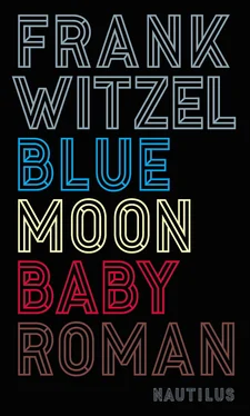 Frank Witzel Bluemoon Baby обложка книги