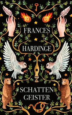 Frances Hardinge Schattengeister обложка книги