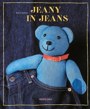 Karin Schrey Jeany in Jeans обложка книги