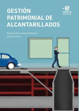 Nathalie Hernández Rodríguez Gestión patrimonial de alcantarillados обложка книги