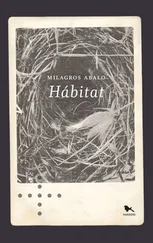 Milagros Abalo - Hábitat