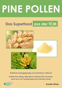 Amelie Ulmer PINE POLLEN - Das Superfood aus der TCM. обложка книги