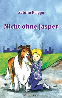 Sabine Prigge Nicht ohne Jasper обложка книги
