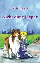 Sabine Prigge - Nicht ohne Jasper