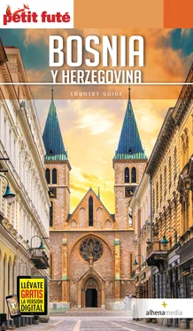 vvaa Bosnia y Herzegovina обложка книги