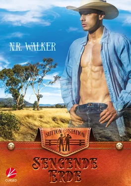 N.R. Walker Red Dirt Heart: Sengende Erde обложка книги