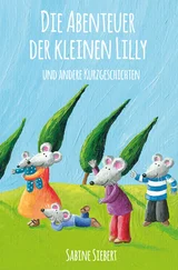 Sabine Siebert - Die Abenteuer der kleinen Lilly und andere Kurzgeschichten